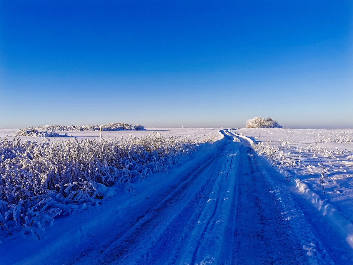 Sergei-Baikin-road